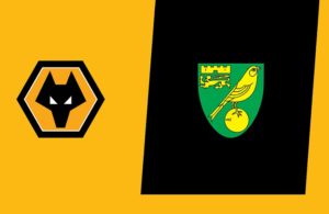 Wolves-Norwich City (preview)